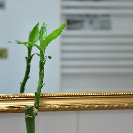 Hotel Athens Golden Trip Pop Art #athens Airport